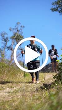 BIB:  <button type="button" onclick="openModal(26598287)" class="btn btn-primary btn-sm float-right" data-toggle="modal" data-target=".modal-high-quality">
                <i class="fa fa-download"></i> Download
                </button>